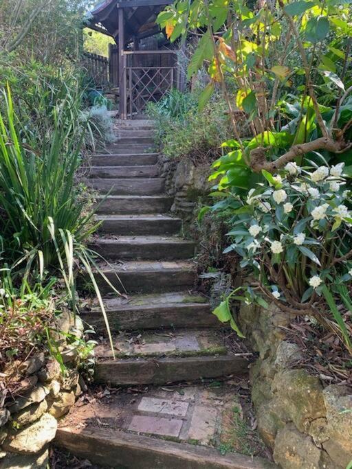 The Black Cockatoo - Secret Garden Treetops Home Katoomba Exterior photo